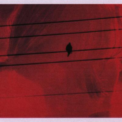 Silviacollage2 Cmyk